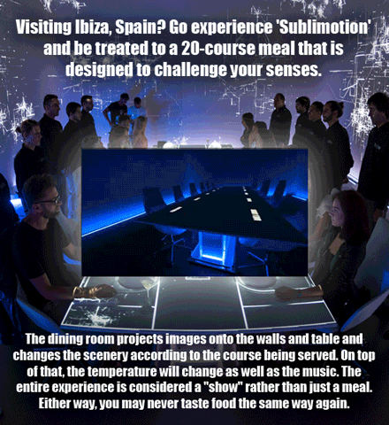 The 15 Most Fun Things You Can (Legally) Pay To Do