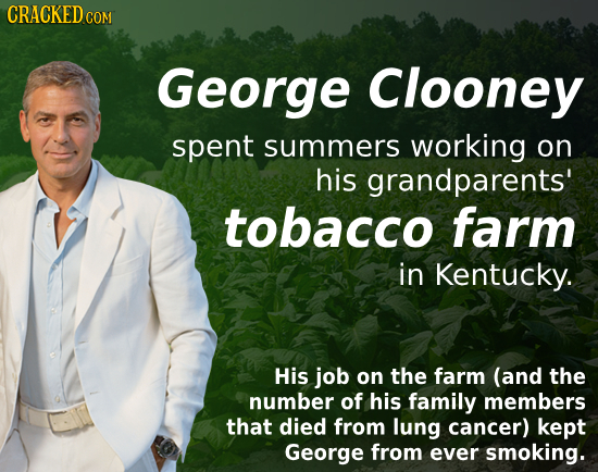 CRACKED co George Clooney spent summers working on his grandparents' tobacco farm in Kentucky. His job on the farm (and the number of his family membe