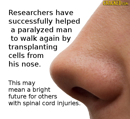 Researchers have successfully helped a paralyzed man to walk again by transplanting cells from his nose. This may mean a bright future for others with