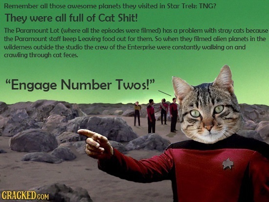 Remember all those awesome planets they visited in Star Trek: TNG? They were all full of Cat Shit! The Paramount Lot (where all the episodes were film