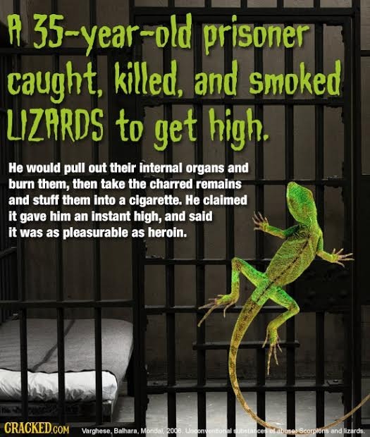 A 35-year-old prisoner caught, killed, and smoked LIZARDS to get high. He would pull out their internal organs and burn them, then take the charred re