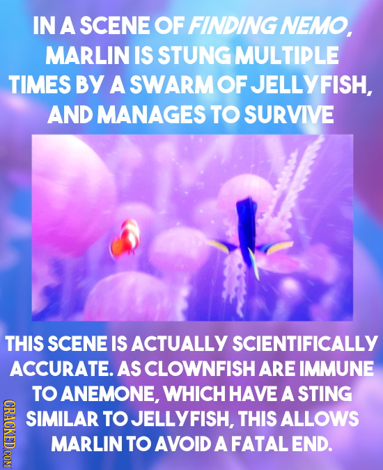 IN A SCENE OF FINDING NEMO, MARLIN IS STUNG MULTIPLE TIMES BY A SWARM OF JELLYFISH, AND MANAGES TO SURVIVE THIS SCENE IS ACTUALLY SCIENTIFICALLY ACCUR