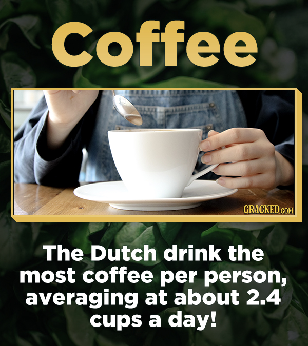 Coffee CRACKEDCON The Dutch drink the most coffee per person, averaging at about 2.4 cups a day!