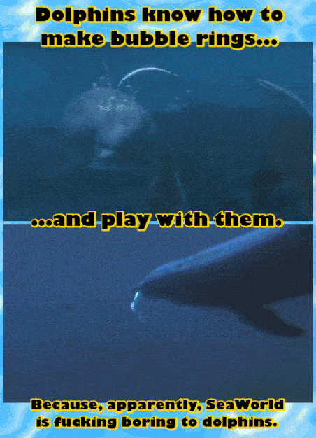 16 Animals Doing Things (That Shouldn't Be Possible)