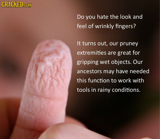 CRACKED c COM Do you hate the look and feel of wrinkly fingers? It turns out, our pruney extremities are great for gripping wet objects. Our ancestors