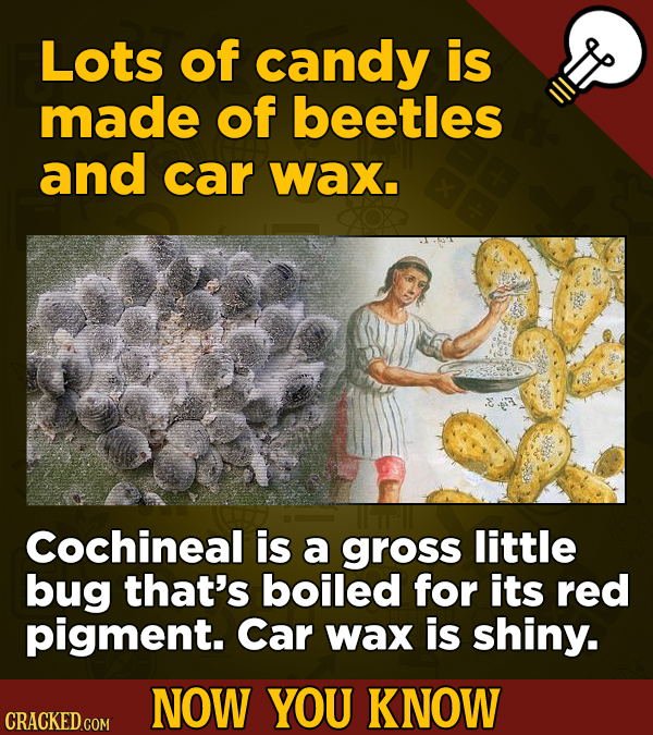 Lots of candy is made of beetles and car wax. Cochineal is a gross little bug that's boiled for its red pigment. Car wax is shiny. NOW YOU KNOW CRACKE