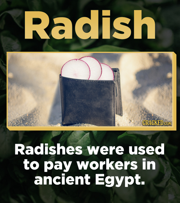 Radish CRACKED COM Radishes were used to pay workers in ancient Egypt.