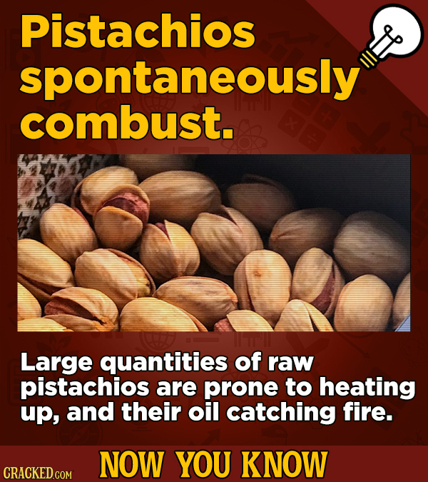 Pistachios spontaneously combust. Large quantities of raw pistachios are prone to heating up, and their oil catching fire. NOW YOU KNOW CRACKED COM