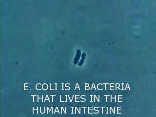 38 Real Size Comparisons That Will Make Your Head Explode