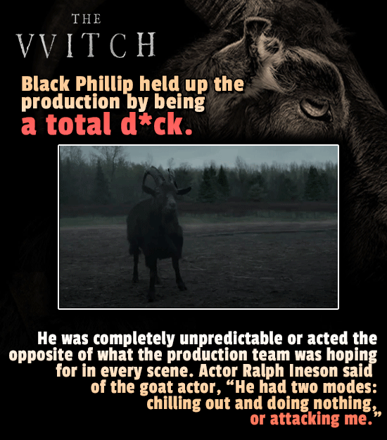 Ridiculous Things That Stalled Famous Movies