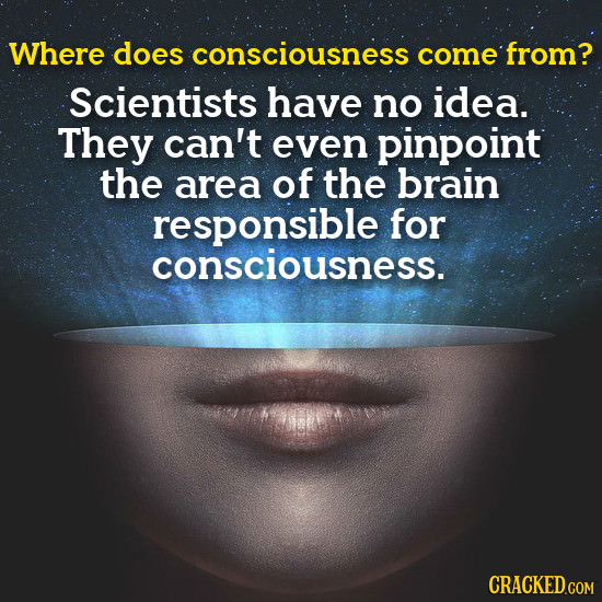 Where does consciousness come from? Scientists have no idea. They can't even pinpoint the area of the brain responsible for consciousness.