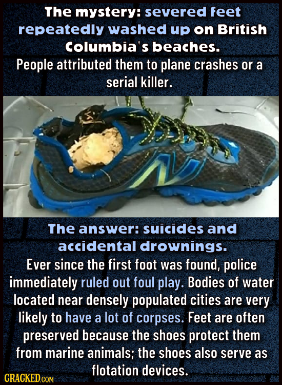 The mystery: severed Feet repeatedly washed up on British Columbia's beaches. People attributed them to plane crashes or a serial killer. The answer: