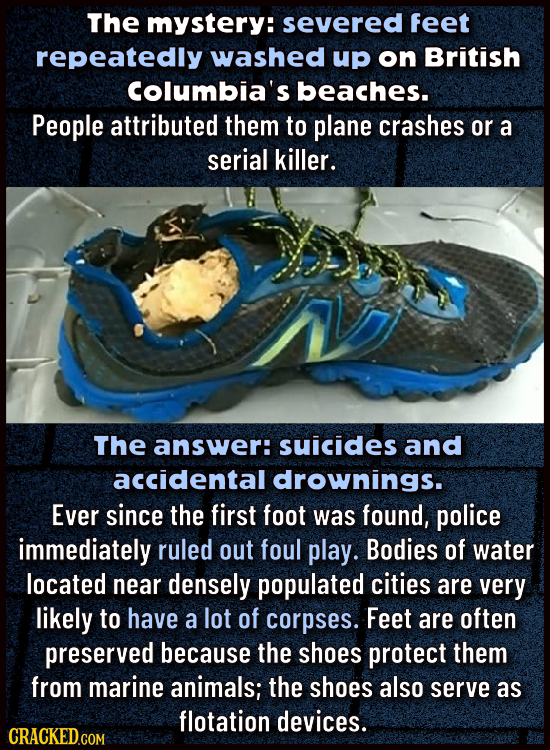 The mystery: severed Feet repeatedly washed up on British Columbia's beaches. People attributed them to plane crashes or a serial killer. The answer: 