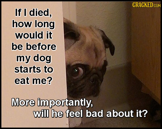 CRACKED.GOM If I died, how long would it be before my dog starts to eat me? More importantly, will he feel bad about it?