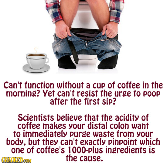 Can't function without a cup of coffee in the morning? Yet can't resist the urge to poop after the first sip? Scientists believe that the acidity of c