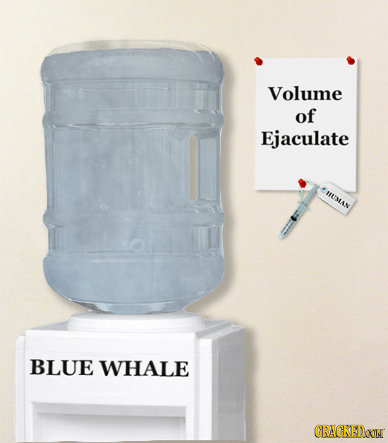 Volume of Ejaculate HUMAN BLUE WHALE CRACKEDCON 
