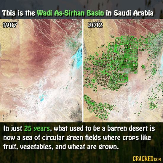 This is the Wadi As-Sirhan Basin in Saudi Arabia 1987 2012 In just 25 years, what used to be a barren desert is now a sea of circular green fields whe