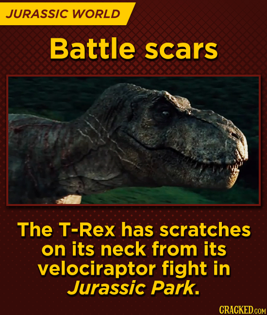 JURASSIC WORLD Battle scars The T-Rex has scratches on its neck from its velociraptor fight in Jurassic Park.