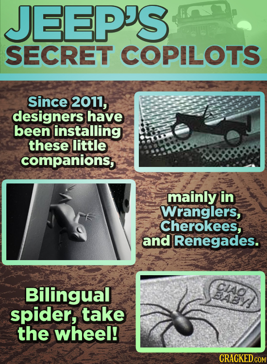 JEEP'S SECRET COPILOTS Since 2011, designers have been installing these little companions, mainly in Wranglers, Cherokees, and Renegades. CIAo Bilingu