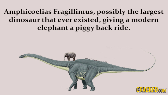 Amphicoelias Fragillimus, possibly the largest dinosaur that ever existed, giving a modern elephant a piggy back ride. CRACKEDCON