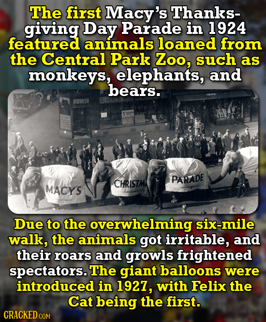 The first Macy's Thanks- giving Day Parade in 1924 featured animals loaned from the Central Park Zoo, such as monkeys, elephants, and bears. PARADE CH