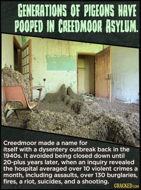 GENERATIONS OF PIGEONS HAVE POOPED IN CREEDMOOR ASYLUM. Creedmoor made a name for itself with a dysentery outbreak back in the 1940s. It avoided being