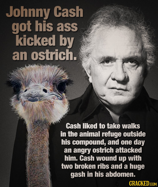 Johnny Cash got his ass kicked by an ostrich. Cash liked to take walks in the animal refuge outside his compound, and one day an angry ostrich attacke