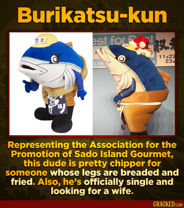 Burikatsu-kun tt est fOr 1122 23 E SAN Representing the Association for the Promotion of Sado Island Gourmet, this dude is pretty chipper for someone