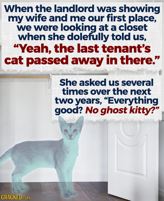 When the landlord was showing my wife and me our first place, we were looking at a closet when she dolefully told uS, Yeah, the last tenant's cat pas