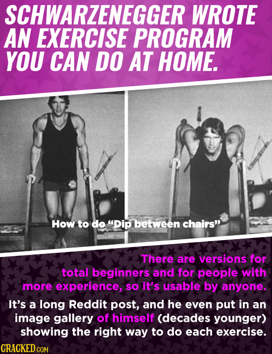 SCHWARZENEGGER WROTE AN EXERCISE PROGRAM YOU CAN DO AT HOME. How to do Dip between chairs' There are versions for total beginners and for people wit