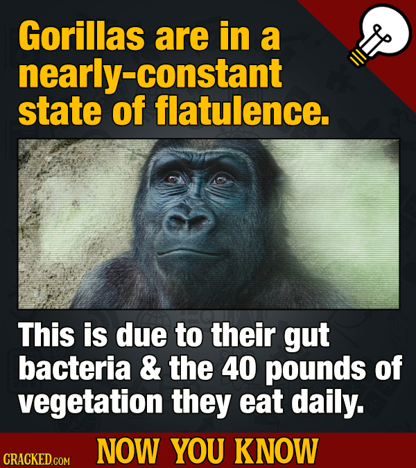 Now You Know: Impressive Movie And General Knowledge Facts