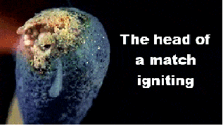 37 Everyday Things That Look Insane in Slow Motion