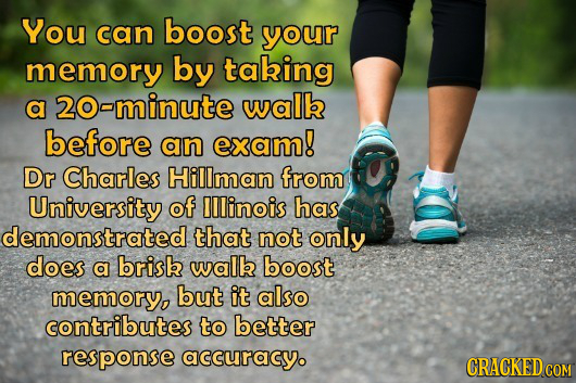 You can boost your memory by taking a 20-minute walb before an exam! DR Charles Hillman from University of Illinois has demonstrated that not only doe