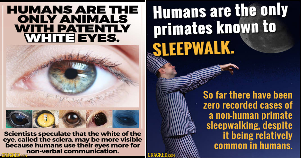 Scientific Reasons Humans Are The Weirdest Of All Animals