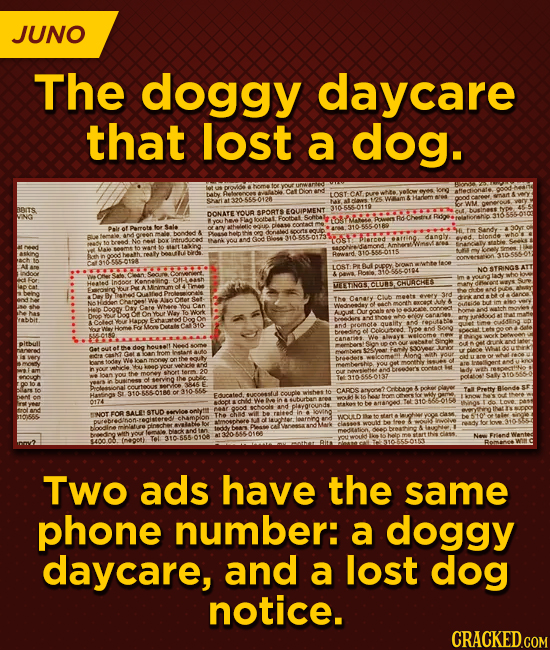 JUNO The doggy daycare that lost a dog. ie tosto BITS DONATE YOUR epots OLUPMENT RoClbat Dal ol Drots Sals And Aanghe: ach to 0198 1OST uk Ciedn Soure