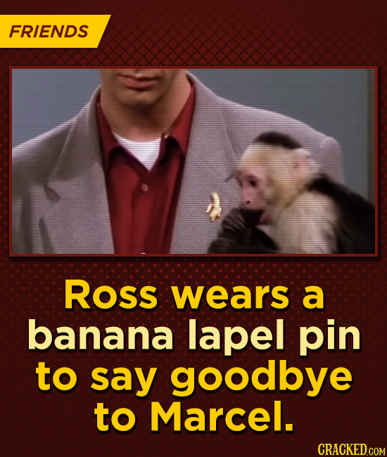 FRIENDS Ross wears a banana lapel pin to say goodbye to Marcel.