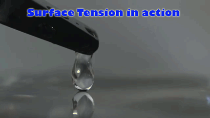 37 Everyday Things That Look Insane in Slow Motion