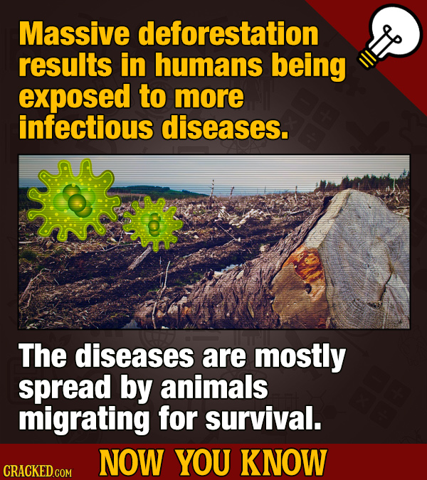 Now You Know: Impressive Movie And General Knowledge Facts