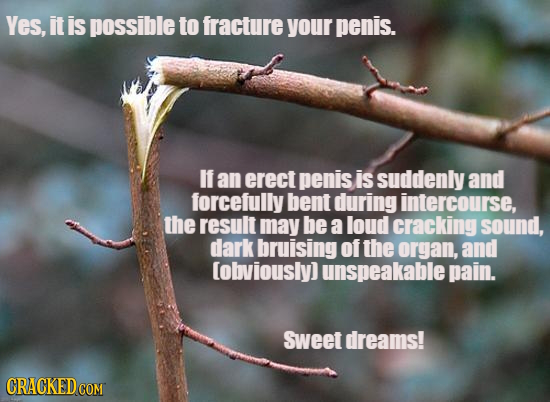 17 Horrifying Ways Sex Can Go Terribly Wrong