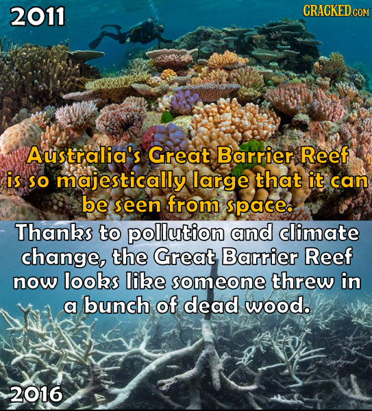 2011 CRACKEDcO Australia's Great Barrier Reef is SO majestically large that it can be seen from space. Thanbs to pollution and climate change, the Gre