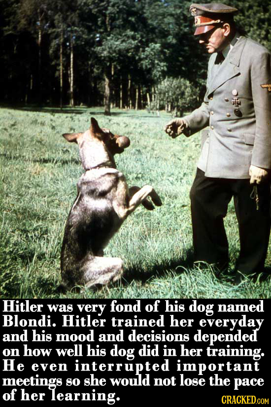 Hitler very fond of was his dog named Blondi. Hitler trained her everyday and his mood and decisions depended on how well his dog did in her training.