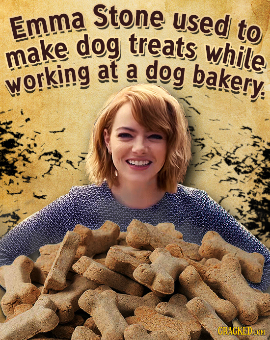 Stone Emma used to dog treats while make at A dog bakery. working CRACKED COM
