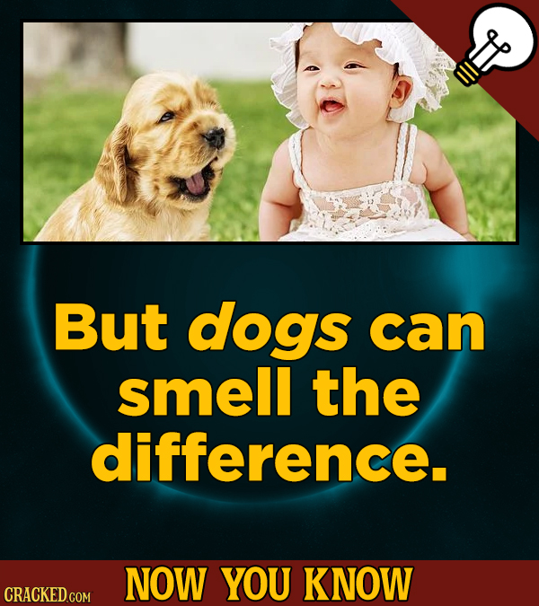 Now You Know: 18 Facts About Twins That'll Make You Double-Take