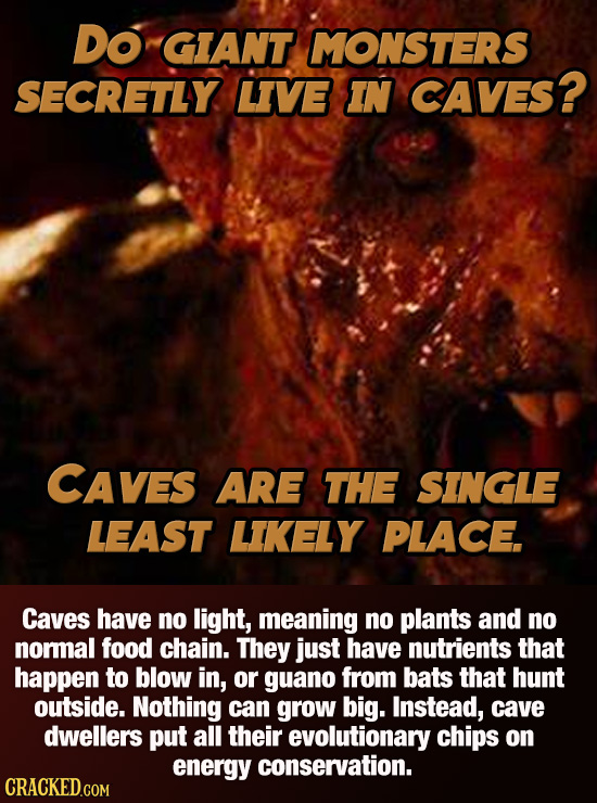 Do GIANT MONSTERS SECRETLY LIVE IN CAVES? CAVES ARE THE SINGLE LEAST LIKELY PLACE. Caves have no light, meaning no plants and no normal food chain. Th