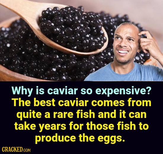 Why is caviar so expensive? The best caviar comes from quite a rare fish and it can take years for those fish to produce the eggs. 