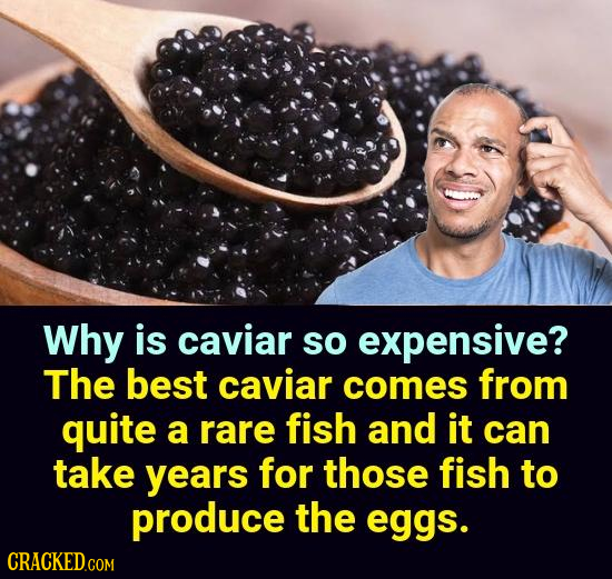 Why is caviar so expensive? The best caviar comes from quite a rare fish and it can take years for those fish to produce the eggs.