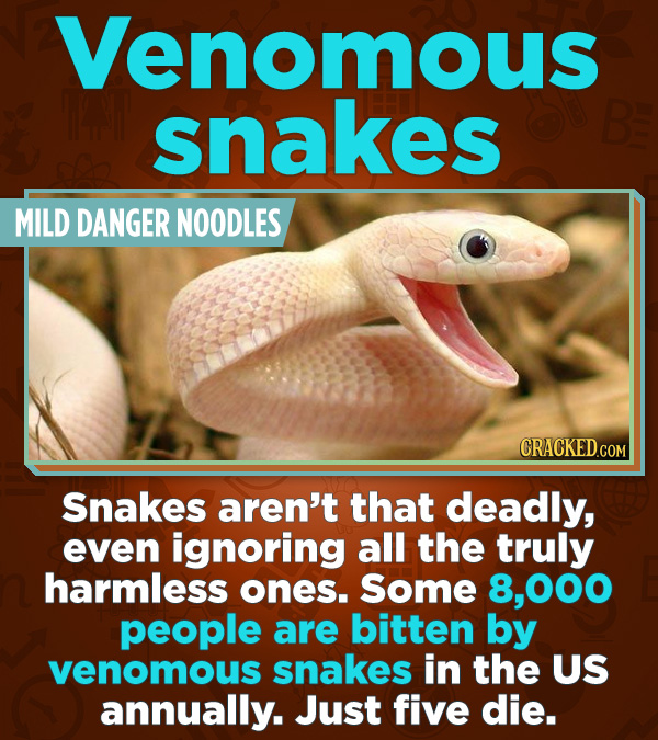 Statistics That Change How You See the World - Snakes aren’t that deadly, even ignoring all the truly harmless ones. Some 8,000 people are bitten by v
