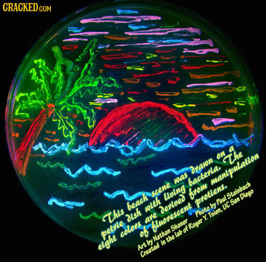 CRACKEDCom on h The drawn was bacteria manipulation scene Living from Steinbach Diego protiens. Paul beach by San with Derived UC This dish Photo Tsie