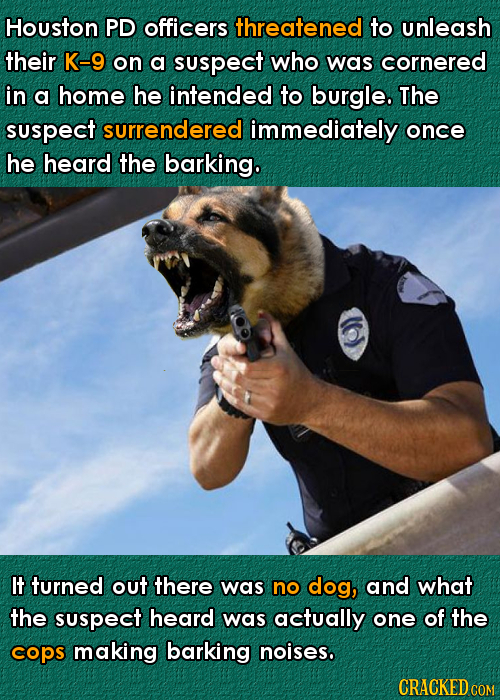 Houston PD officers threatened to unleash their K-9 on a suspect who was cornered in a home he intended to burgle. The suspect surrendered immediately