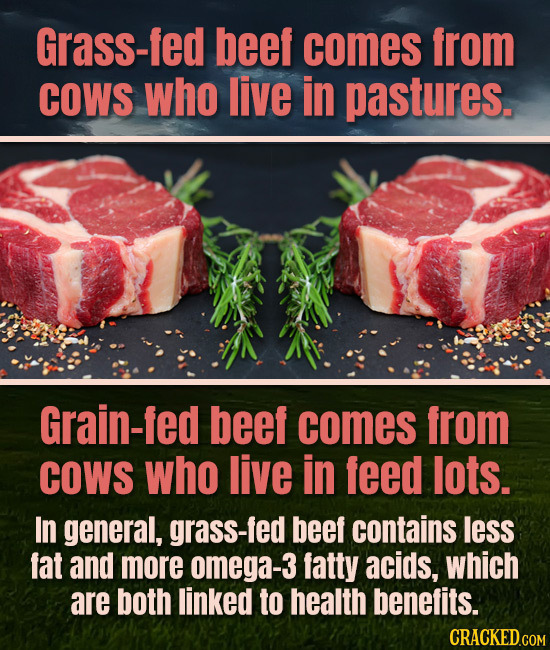 Grass-fed beef comes from COWS who live in pastures. Grain-fed beef comes from COWS who live in feed lots. In general, grass-fed beef contains less fa